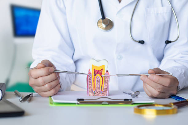 Best Emergency Dentist for Lost Fillings or Crowns in Gentry, AR